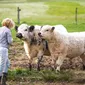 Foto's kind en hond bij Mswati's